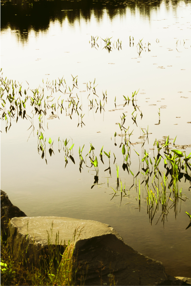 1397rushes-5.jpg